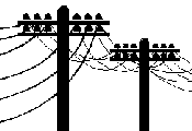 Aerial Plant