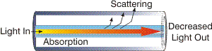 Causes of Attenuation in Optical F iber
